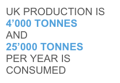 UK PRODUCTION IS
4’000 TONNES 
AND
25’000 TONNES 
PER YEAR IS CONSUMED