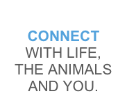 
CONNECT WITH LIFE, THE ANIMALS AND YOU.